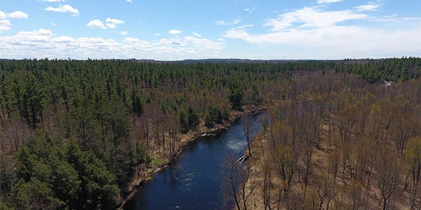 photo depicting Upper Oswegatchie River Overlook Falls forest