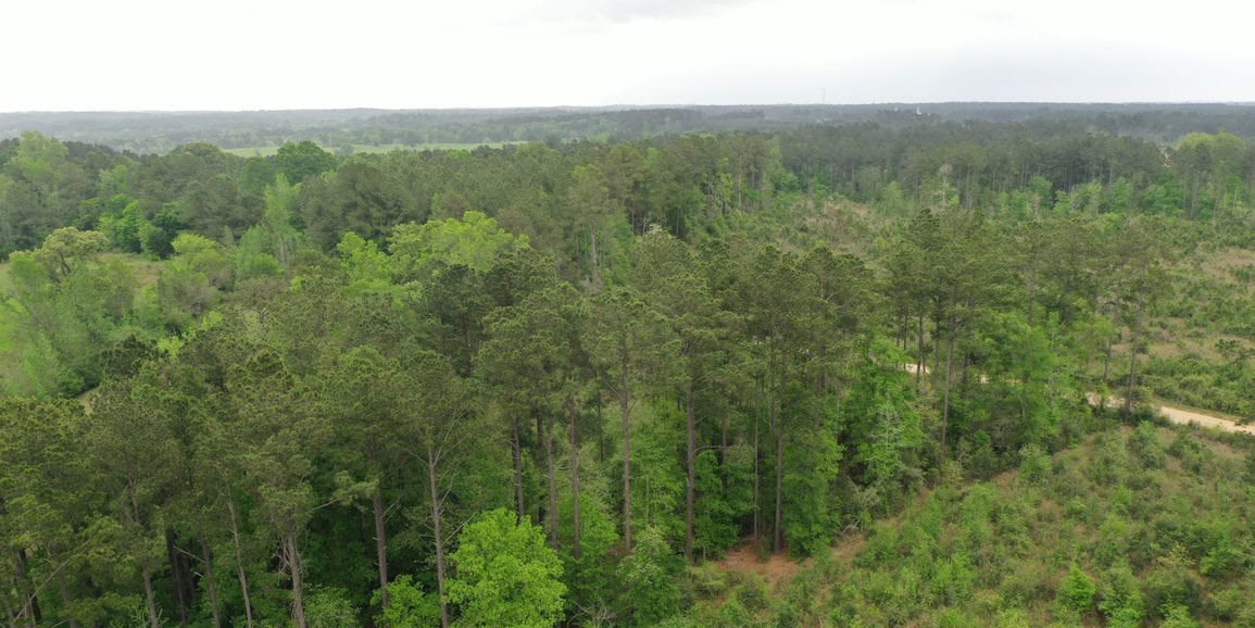 Denning Pines Tract 4 Fountains Land Land Marketing Experts