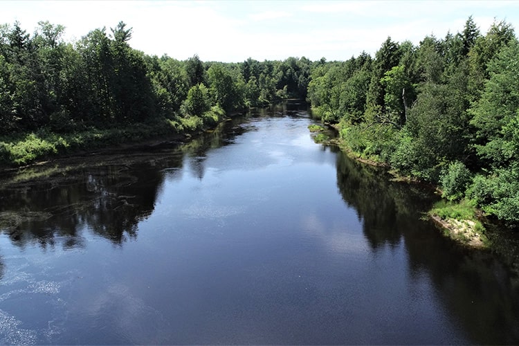 photo depicting Lower Oswegatchie River forest