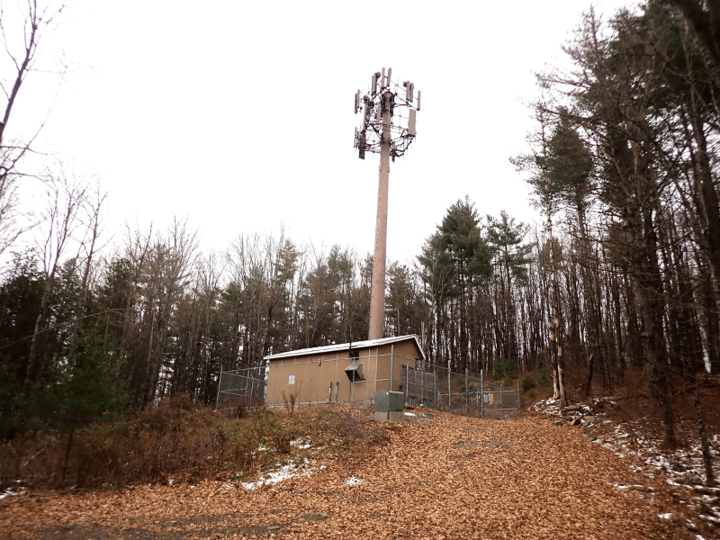 cell tower in front of timberland