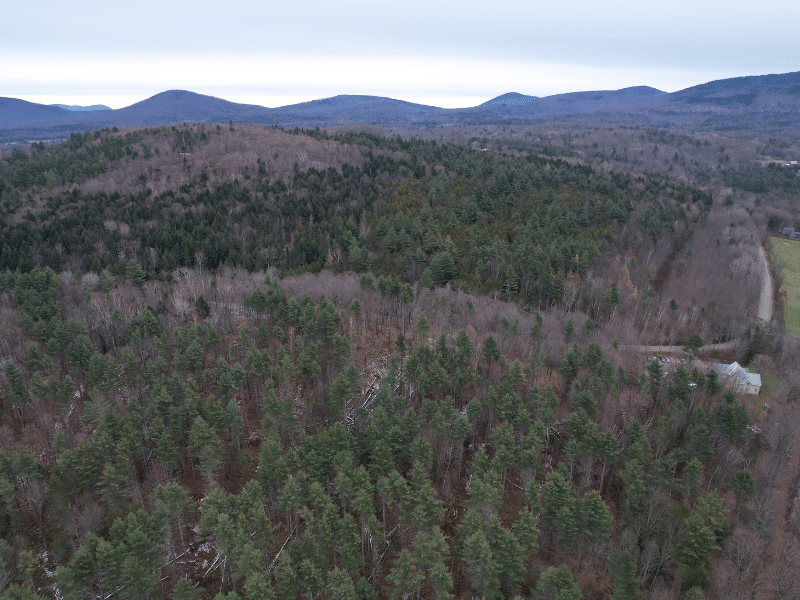 aerial shot of timberland