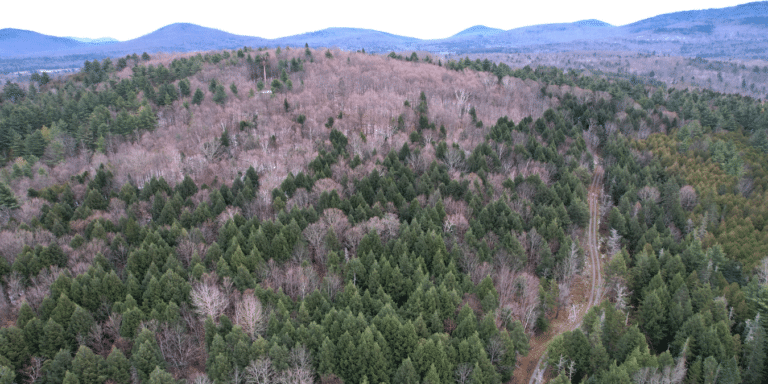 a drone shot of a timberland property