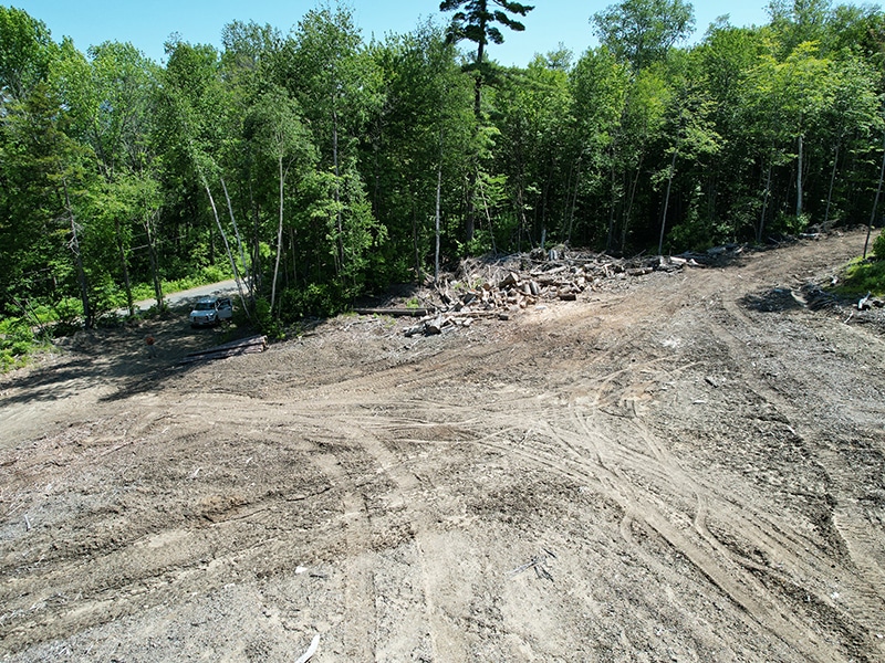 logging road going through a timberland tract