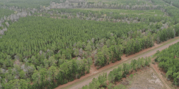 aerial view of the property