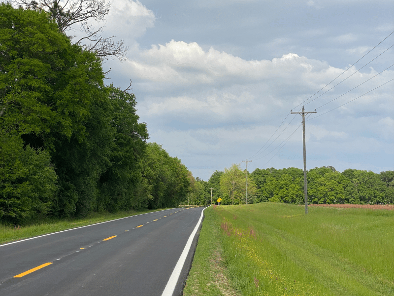 road with field