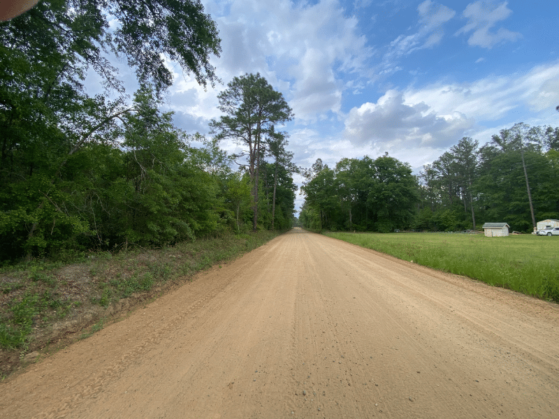 dirt road with trees in distance
