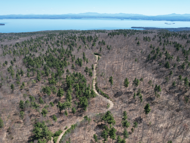 lake champlain view with forest