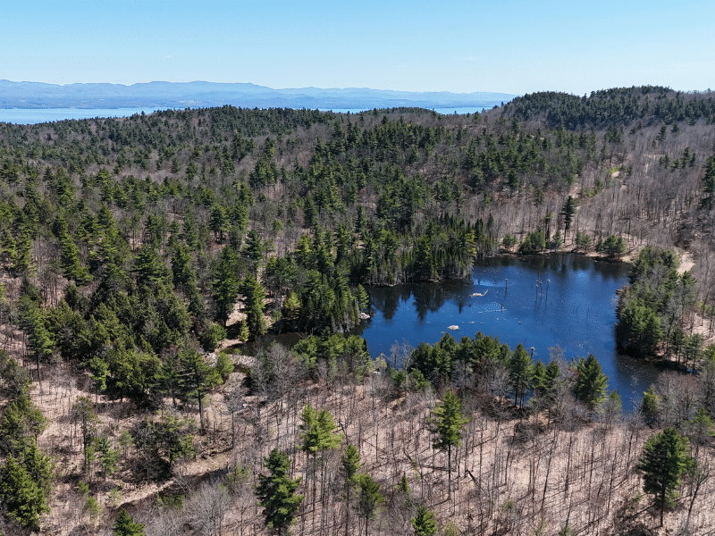 pond in mountains