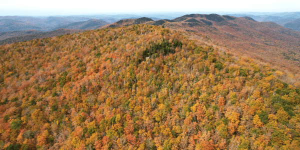 fall in the mountains