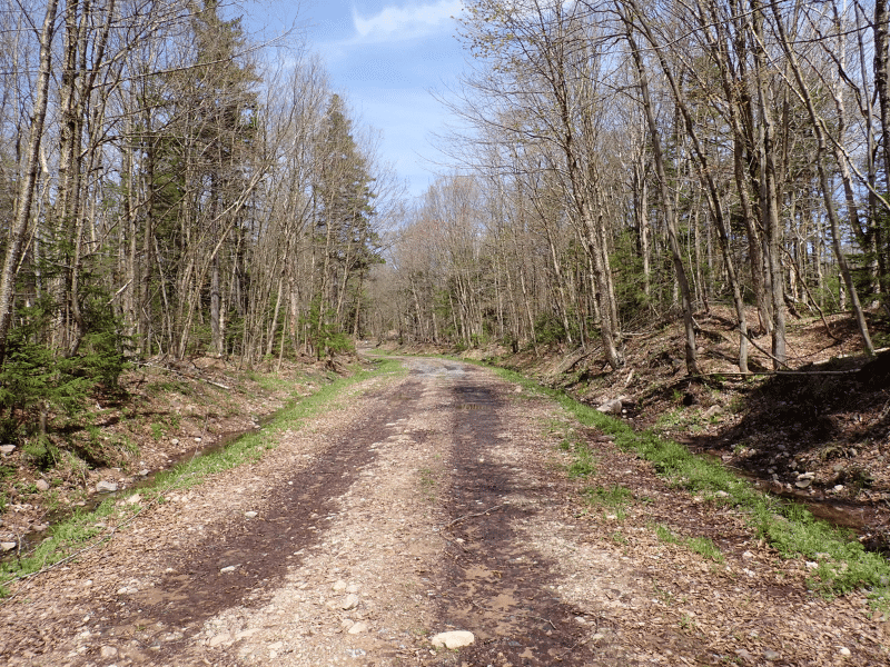 dirt road