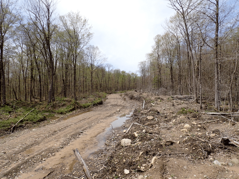 dirt road