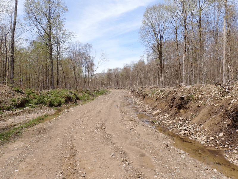 dirt road