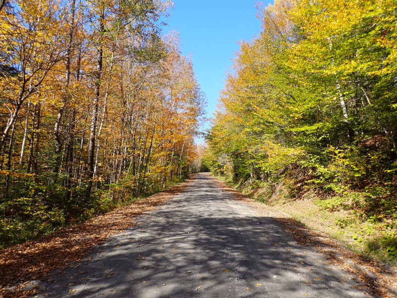 fish pond road