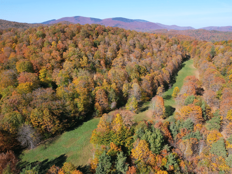 aerial view of property