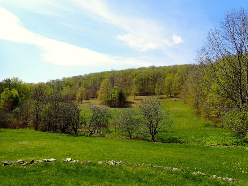 house in field