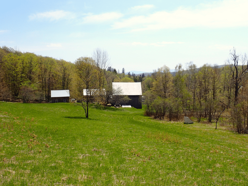 barns and field