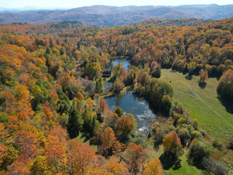 aerial view of ponds