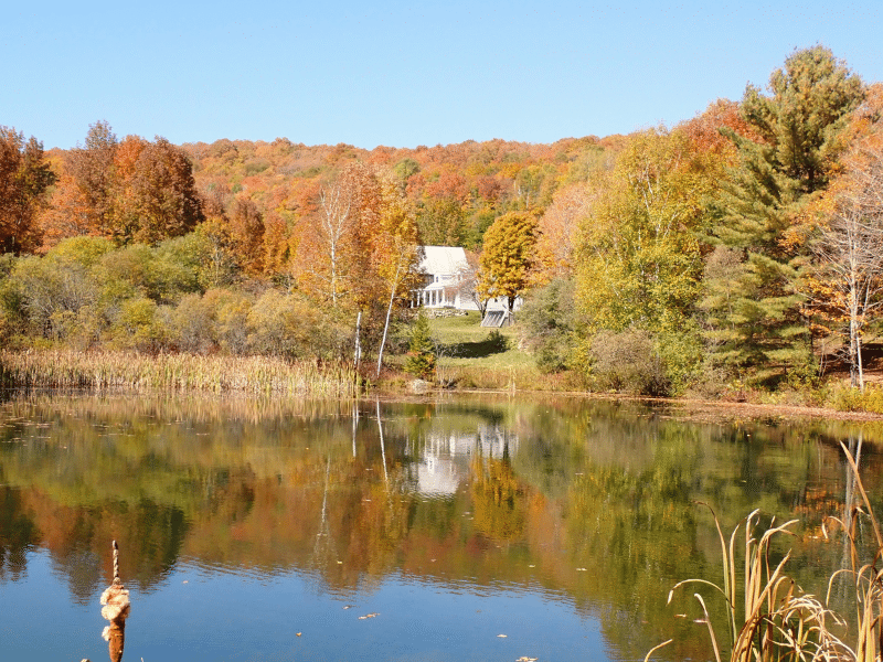 house across pond