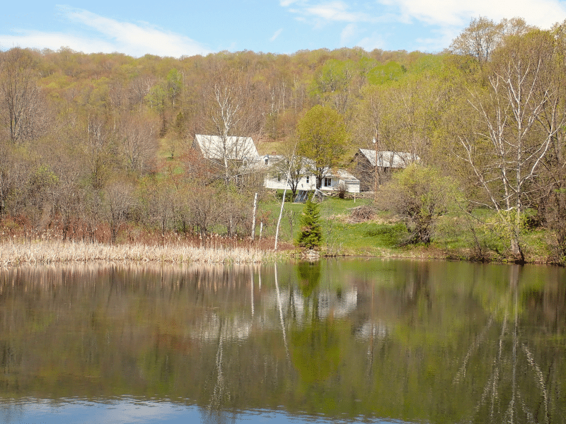 pond view