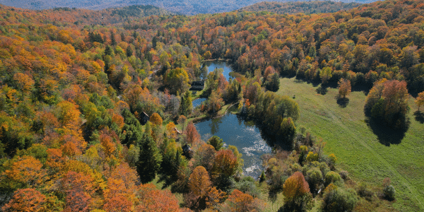 aerial pond view