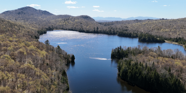 Iron Mountain Forest - Fountains Land – Land Marketing Experts